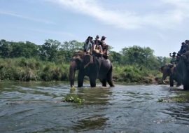 Chitwan wildlife tour